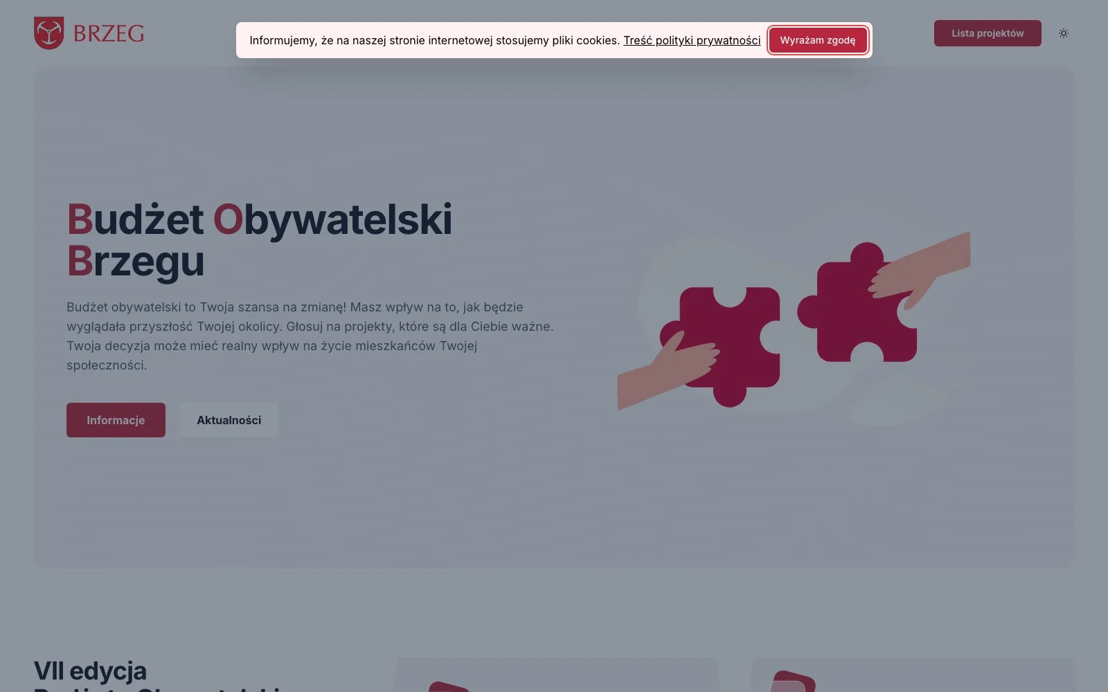 Podgląd: Budżet Obywatelski Brzegu
