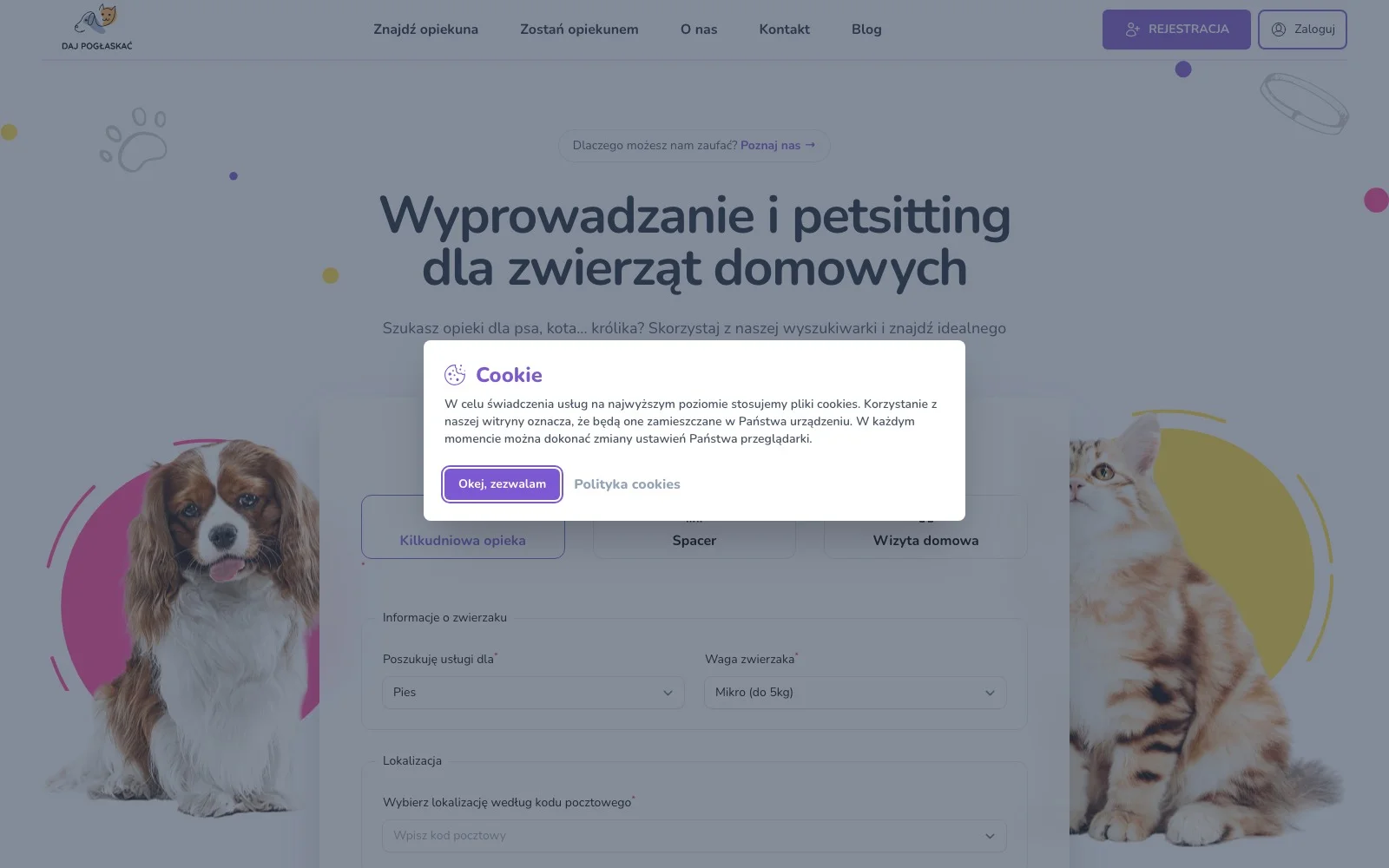Podgląd: DajPogłaskać — platforma opieki nad zwierzętami