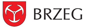 Urząd Miasta Brzeg — realizacja strony internetowej